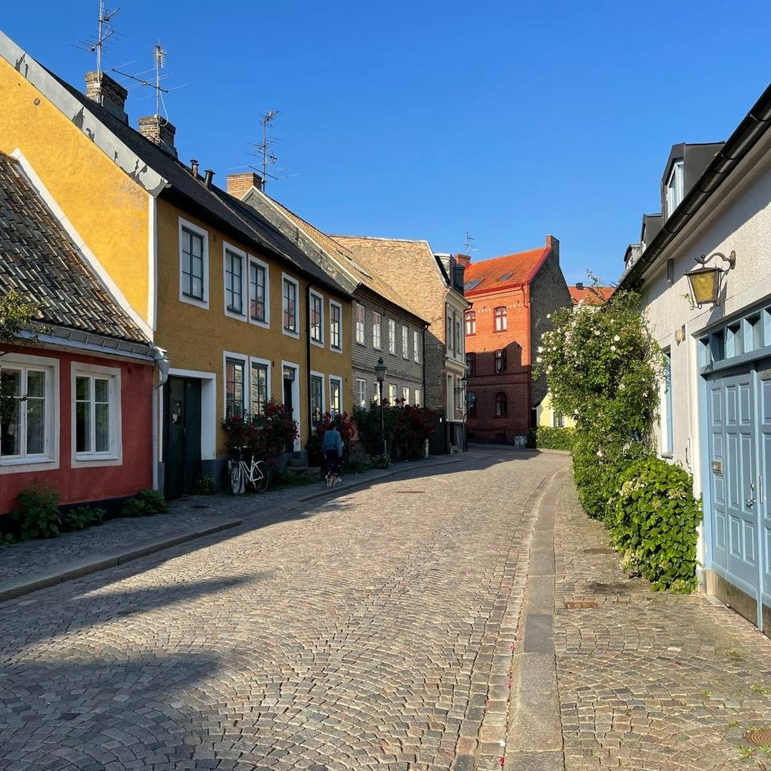 449190226_2679734988854986_6696708799385277419_n